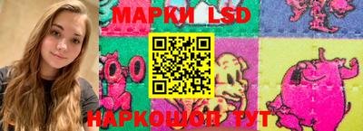 крисы Пенза