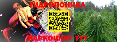 крисы Пенза
