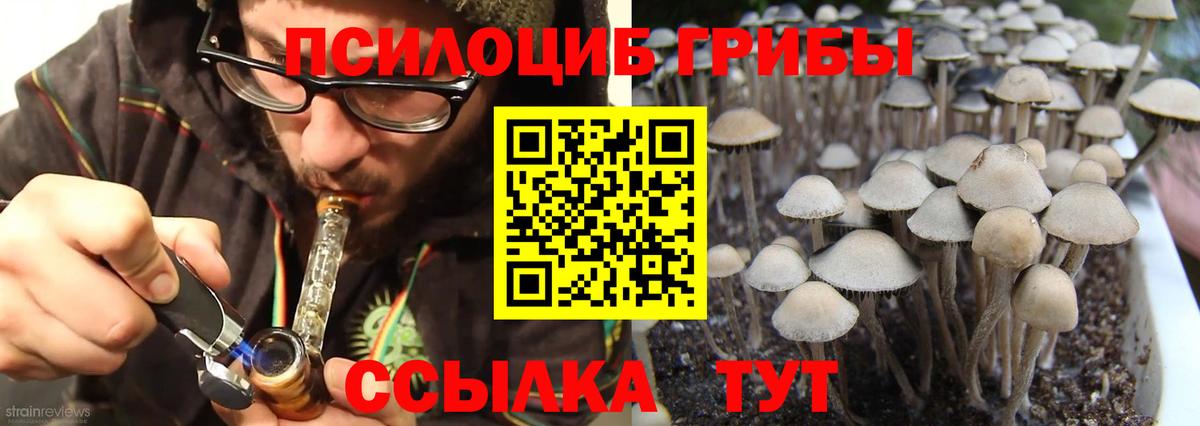 Псилоцибиновые грибы GOLDEN TEACHER  Псилоцибиновые грибы Magic Shrooms  Вход с VPN  Сегежа 